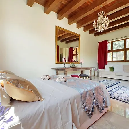 Luxury Trastevere Terraces *